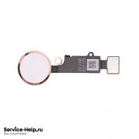 Кнопка HOME для iPhone 7 / 7 Plus / 8 / 8 Plus / SE2020 (в сборе) сенсор. (золотой) 3D Gen.6 - Service-Help.ru